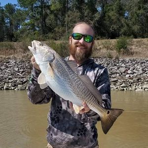 Meet your Posher, Brian